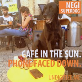 Cafe In The Sun. Phone Faced Down.