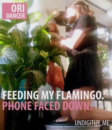 Feeding My Flamingo. Phone Faced Down
