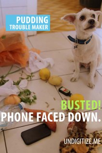 Busted! Phone Faced Down.